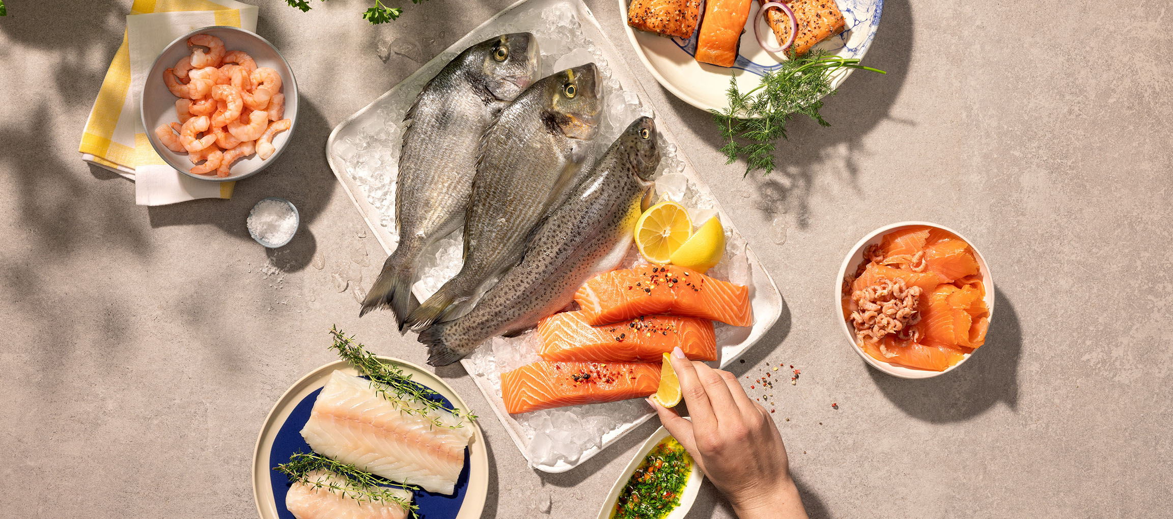 Auswahl an frischen Meeresfrüchten, darunter ganze Fische, Lachsfilets und Garnelen, auf Eis.
