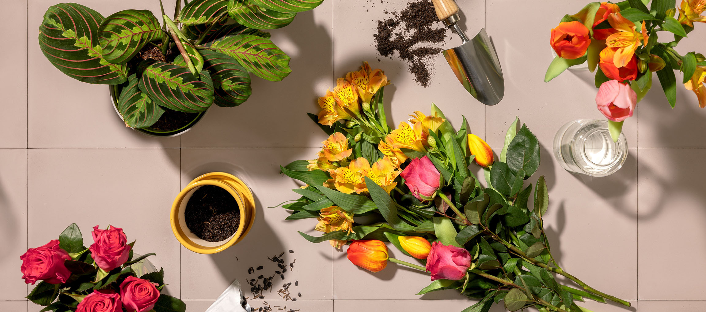 Fleurs fraîches, plante en pot et outils de jardinage sur fond clair.