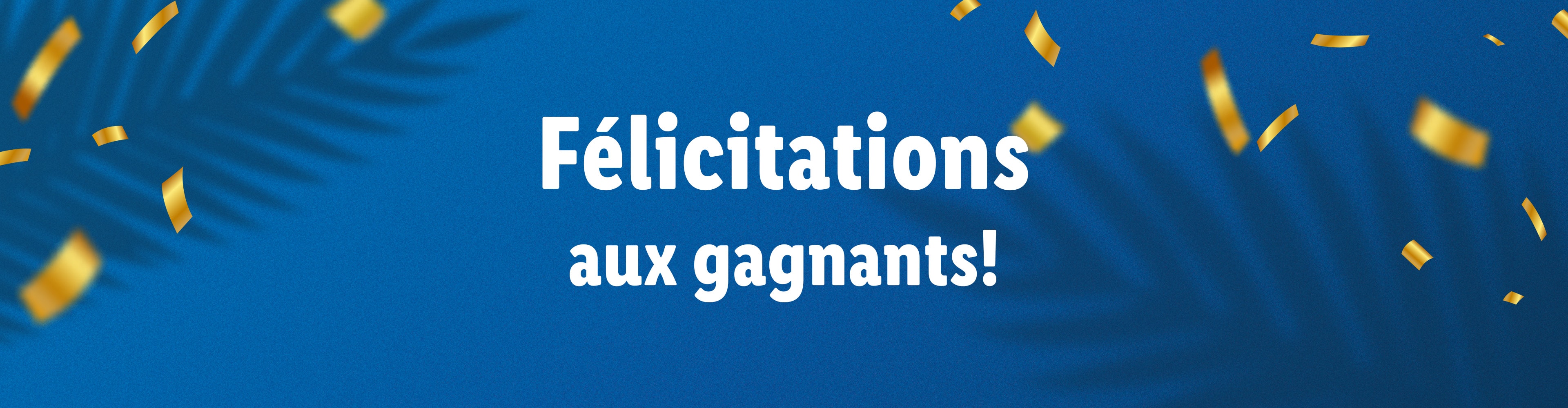 Félicitations aux gagnants!