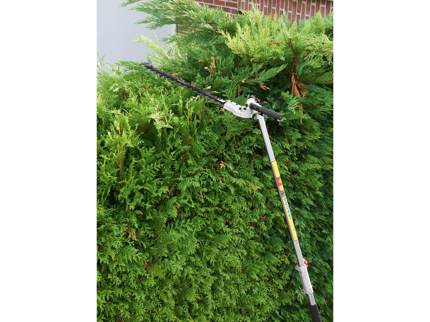 Tagliasiepi a lungo raggio che taglia una siepe verde alta, con un muro di mattoni sullo sfondo.