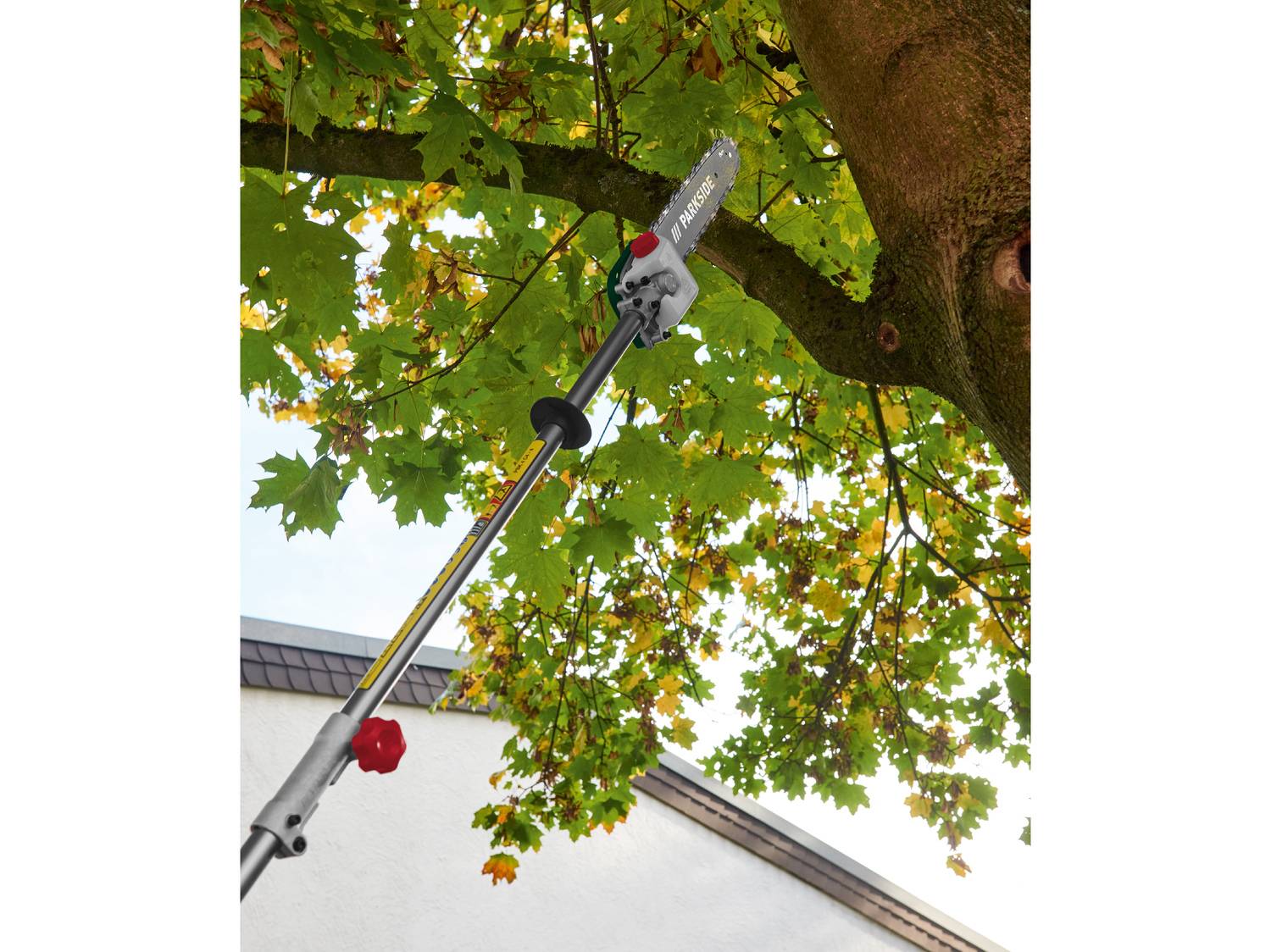 Sega a palo che taglia un ramo d'albero con foglie verdi e gialle.