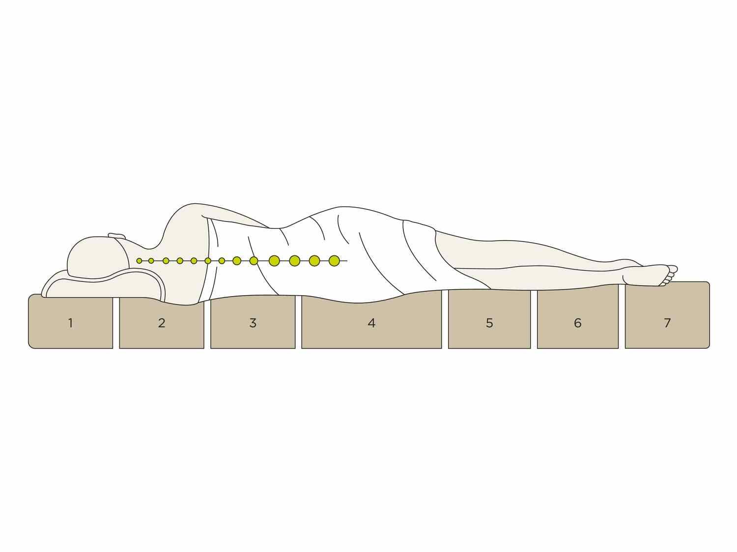 Illustration einer Person, die auf der Seite auf einer 7-Zonen-Matratze für die richtige Wirbelsäulenausrichtung schläft.