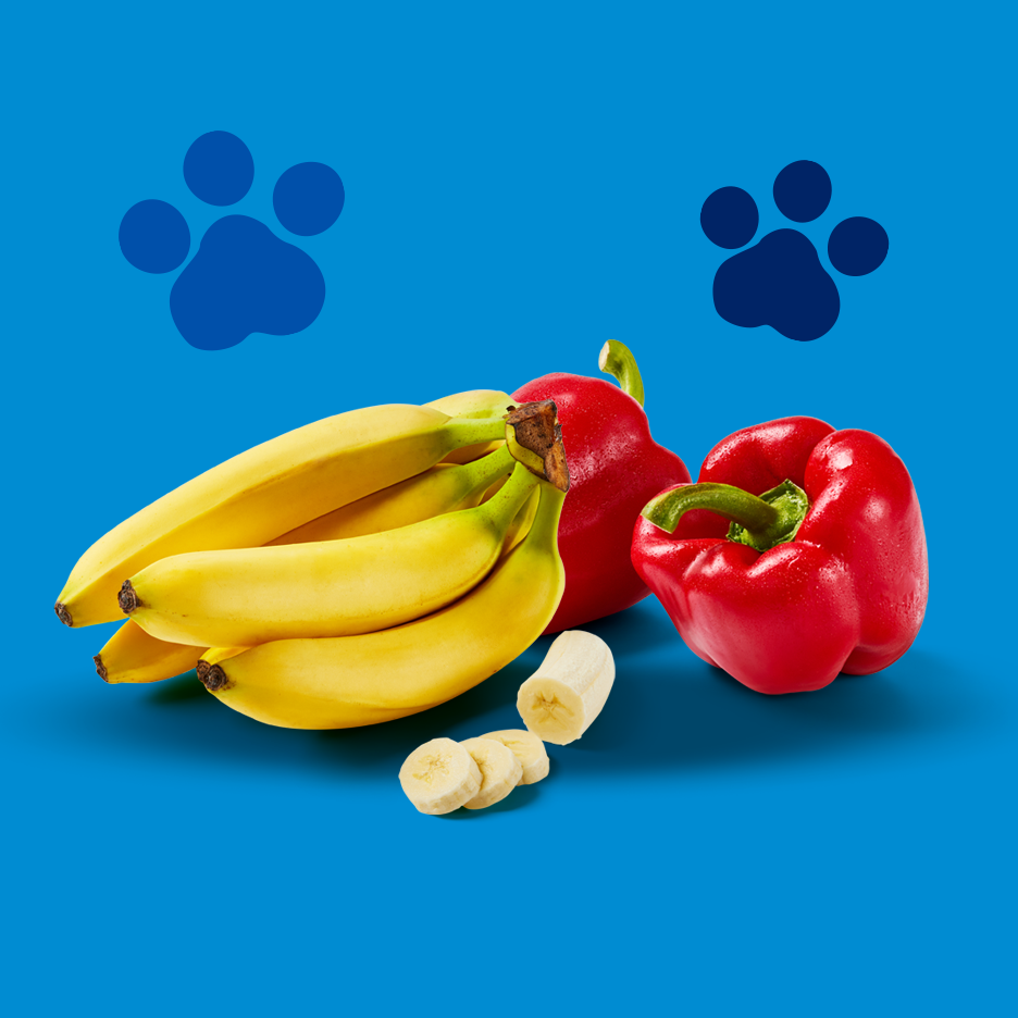Bananen und rote Paprika mit Pfotenabdrücken auf blauem Hintergrund.