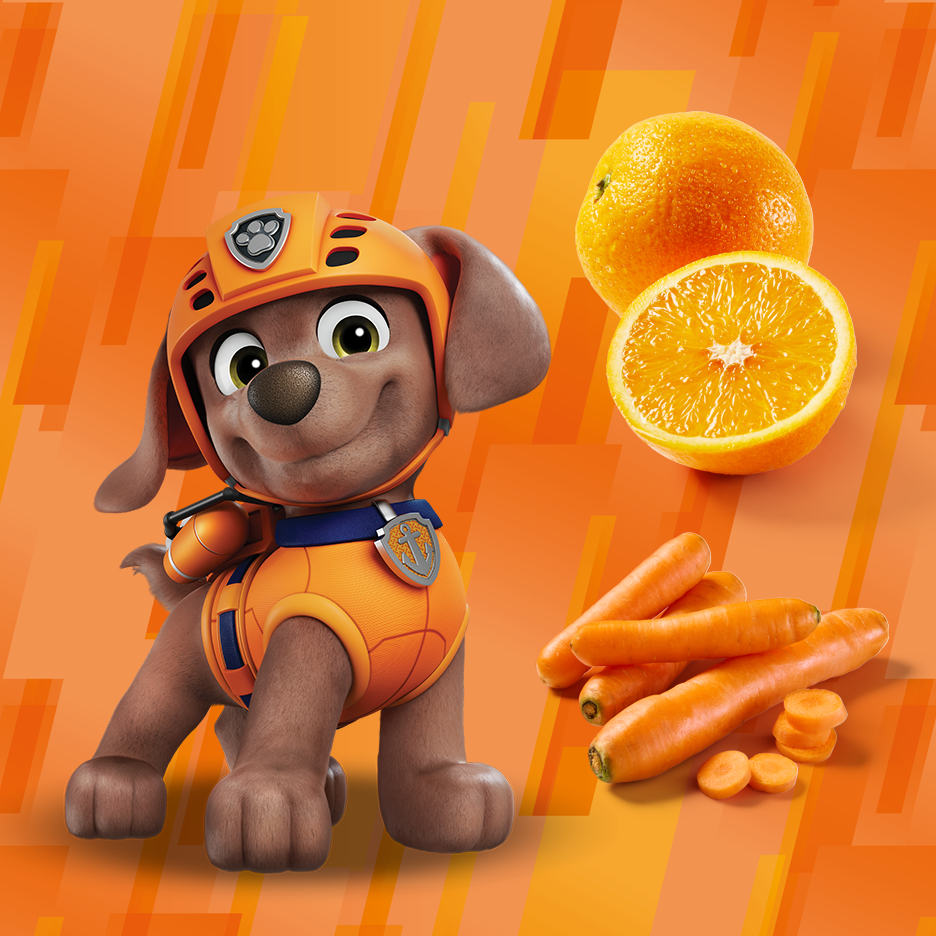 Cartoon-Welpe mit Orangen und Karotten auf orangefarbenem Hintergrund.