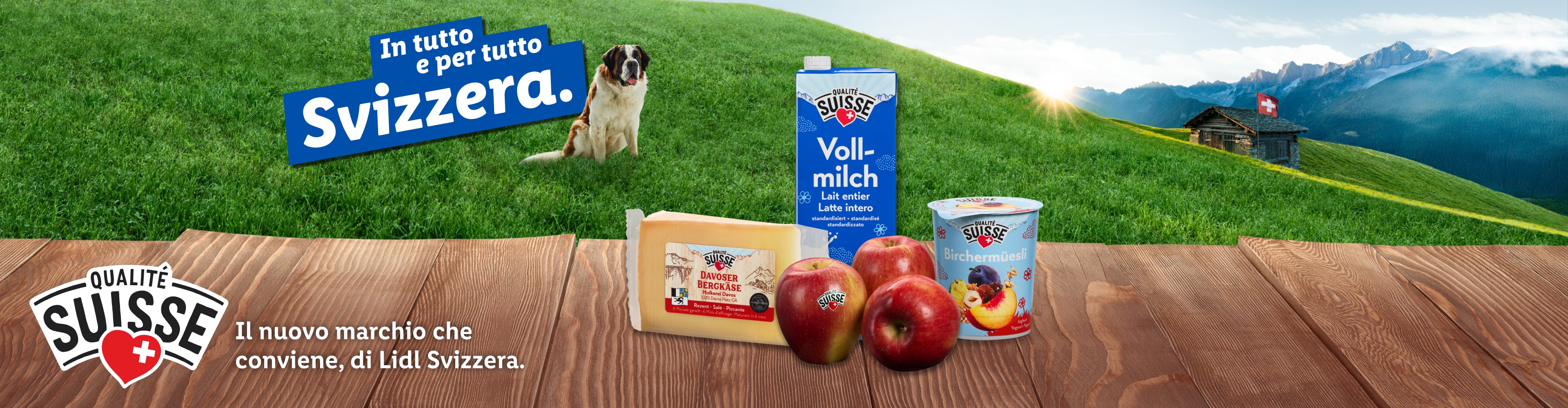 Nuovi prodotti lattiero-caseari Lidl Svizzera: latte, formaggio e yogurt, con un cane San Bernardo.