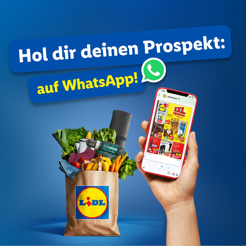 Eine Lidl-Einkaufstasche voller Lebensmittel und Werkzeuge, mit einem Telefon, das einen Lidl-Prospekt auf WhatsApp anzeigt.