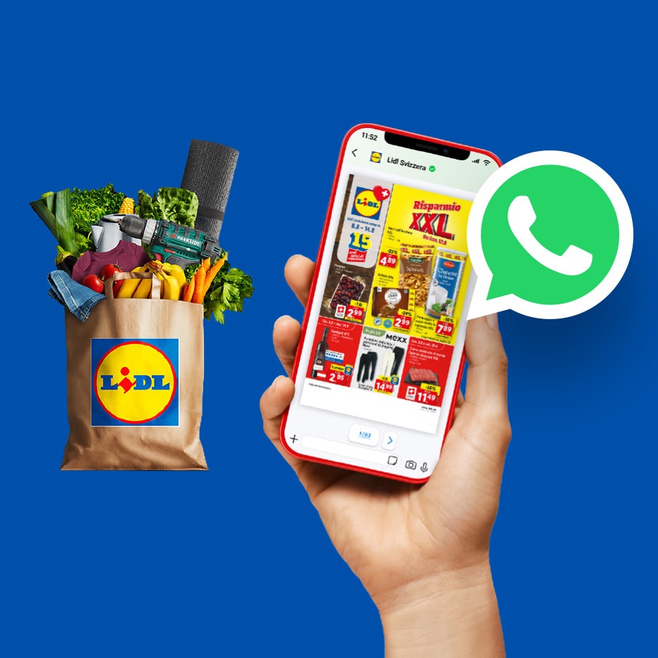 Einkaufstasche mit Obst, Gemüse und Werkzeugen, sowie ein Smartphone mit einem Angebotsflyer.