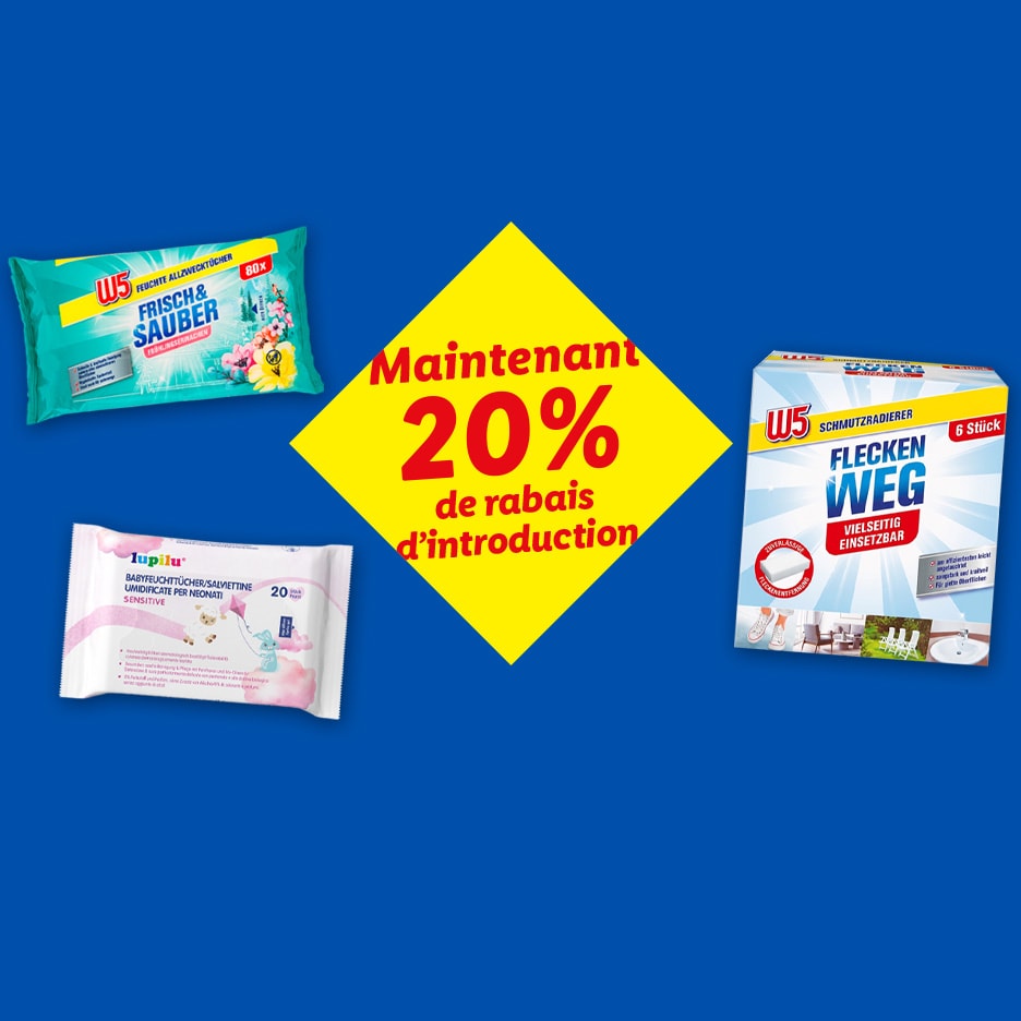 Maintenant 20% de rabais d'introduction