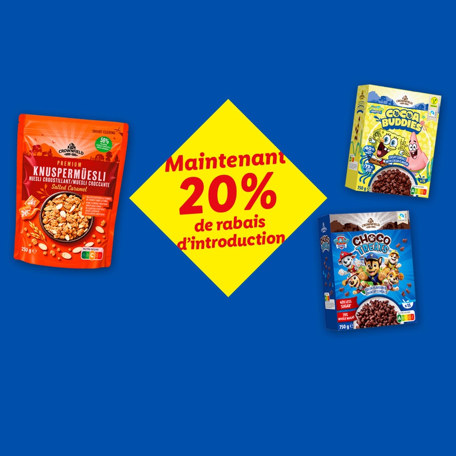 Maintenant 20% de rabais d'introduction