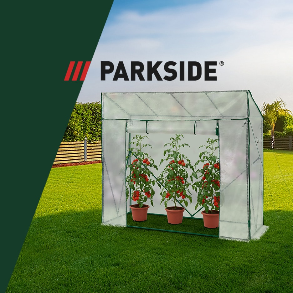 Gartengewächshaus mit drei Topf-Tomatenpflanzen auf grünem Rasen unter blauem Himmel.