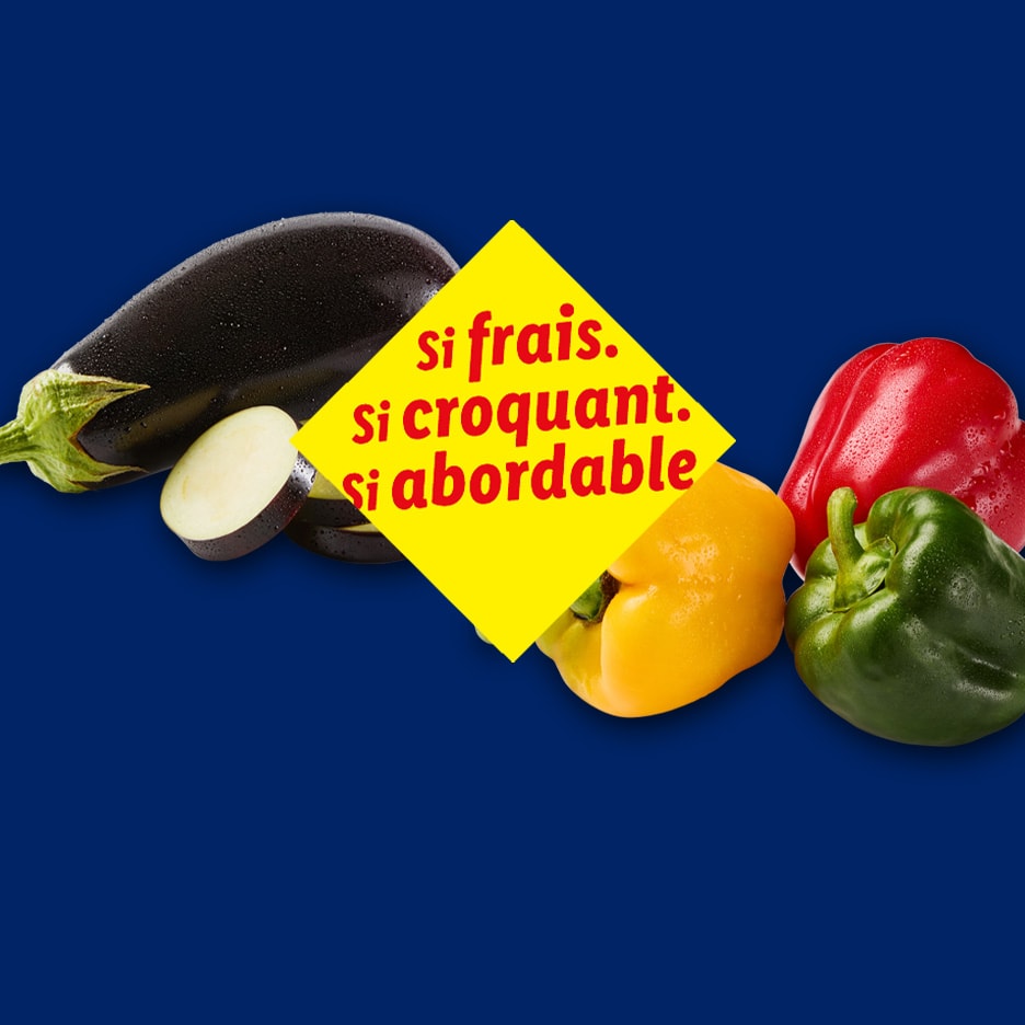 Frische, knackige und erschwingliche Auberginen und Paprika auf blauem Hintergrund.