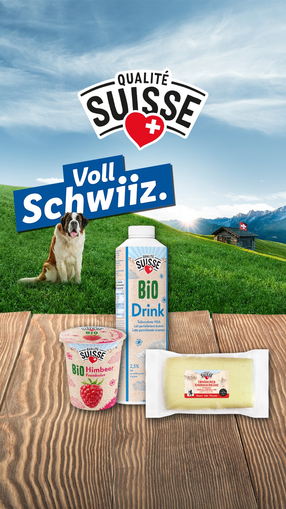 Bio-Milchprodukte aus der Schweiz: Himbeerjoghurt, Milchgetränk und Käse, mit einem Bernhardiner.
