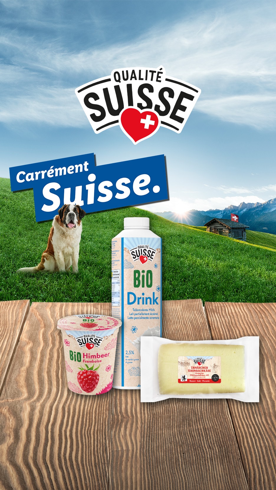 Qualität Suisse Milchprodukte (Bio-Drink, Himbeerjoghurt, Käse) vor Schweizer Landschaft mit Bernhardiner.