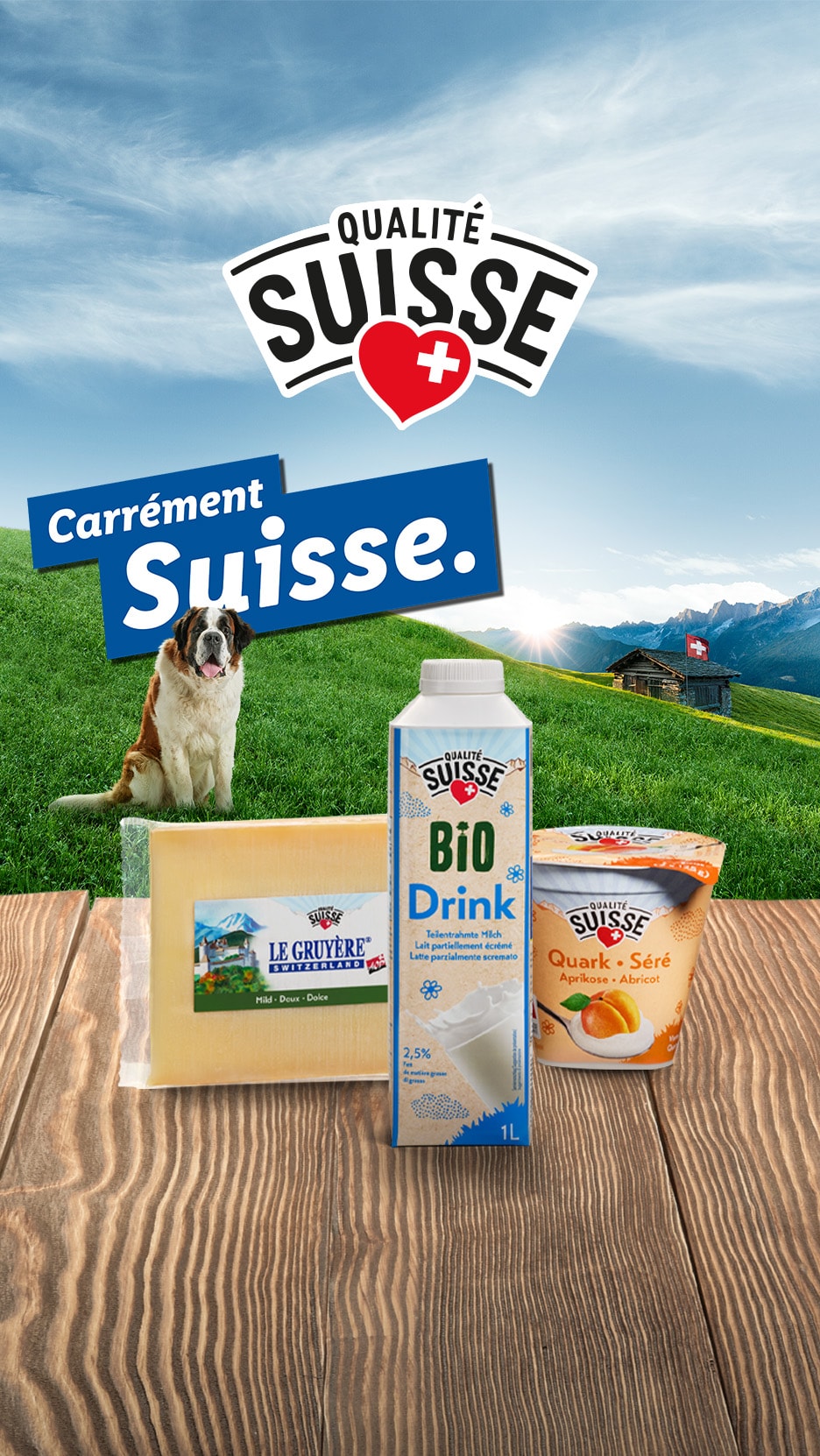 Schweizer Käse, Milch und Quark mit einem Bernhardiner vor Alpenkulisse.