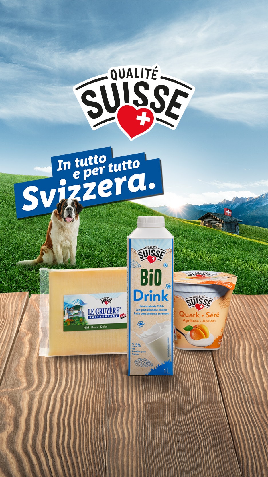 Qualité Suisse Produkte: Le Gruyère Käse, Bio Drink Milch und Quark-Séré Aprikose auf Holztisch vor Schweizer Alpenkulisse mit Bernhardiner.