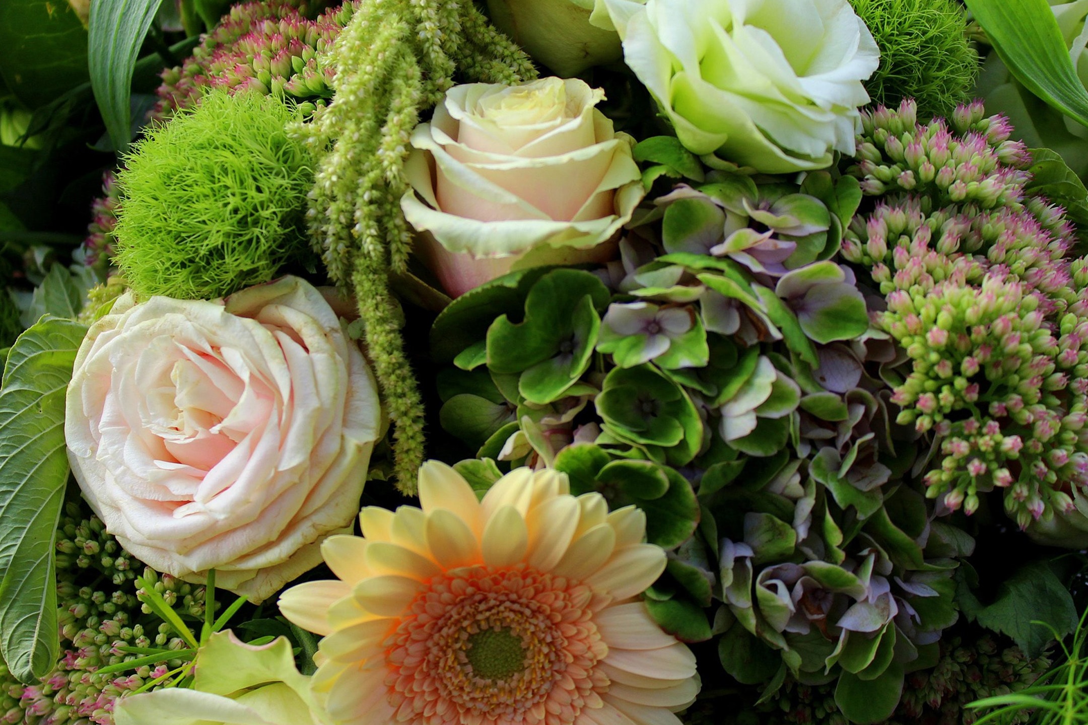 Un bouquet di rose rosa e bianche, gerbere gialle, ortensie verdi e fiori di sedum.