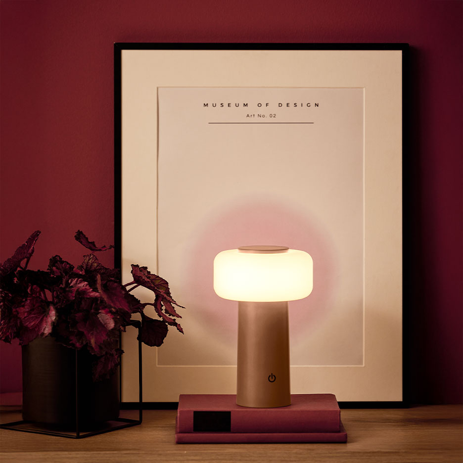 Tragbare Tischlampe auf Büchern, mit Pflanze und Poster im Hintergrund.