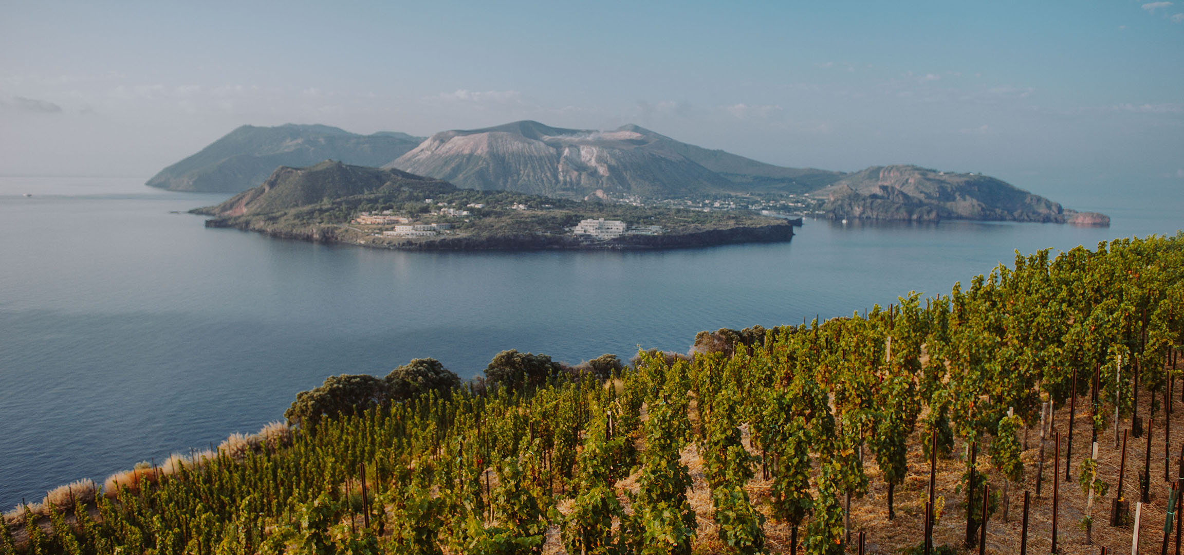 Vignoble en terrasses surplombant une île volcanique et la mer.