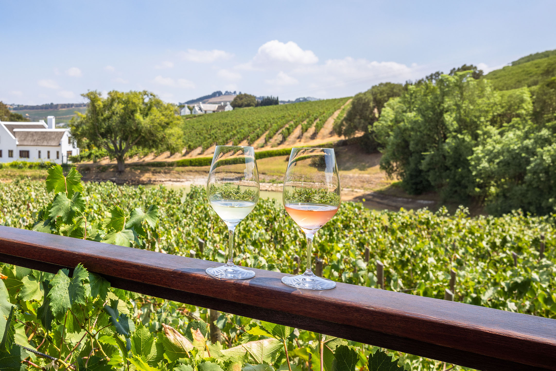 Zwei Gläser Wein, weiß und rosé, auf einem Holzgeländer mit einem Weinberg im Hintergrund.