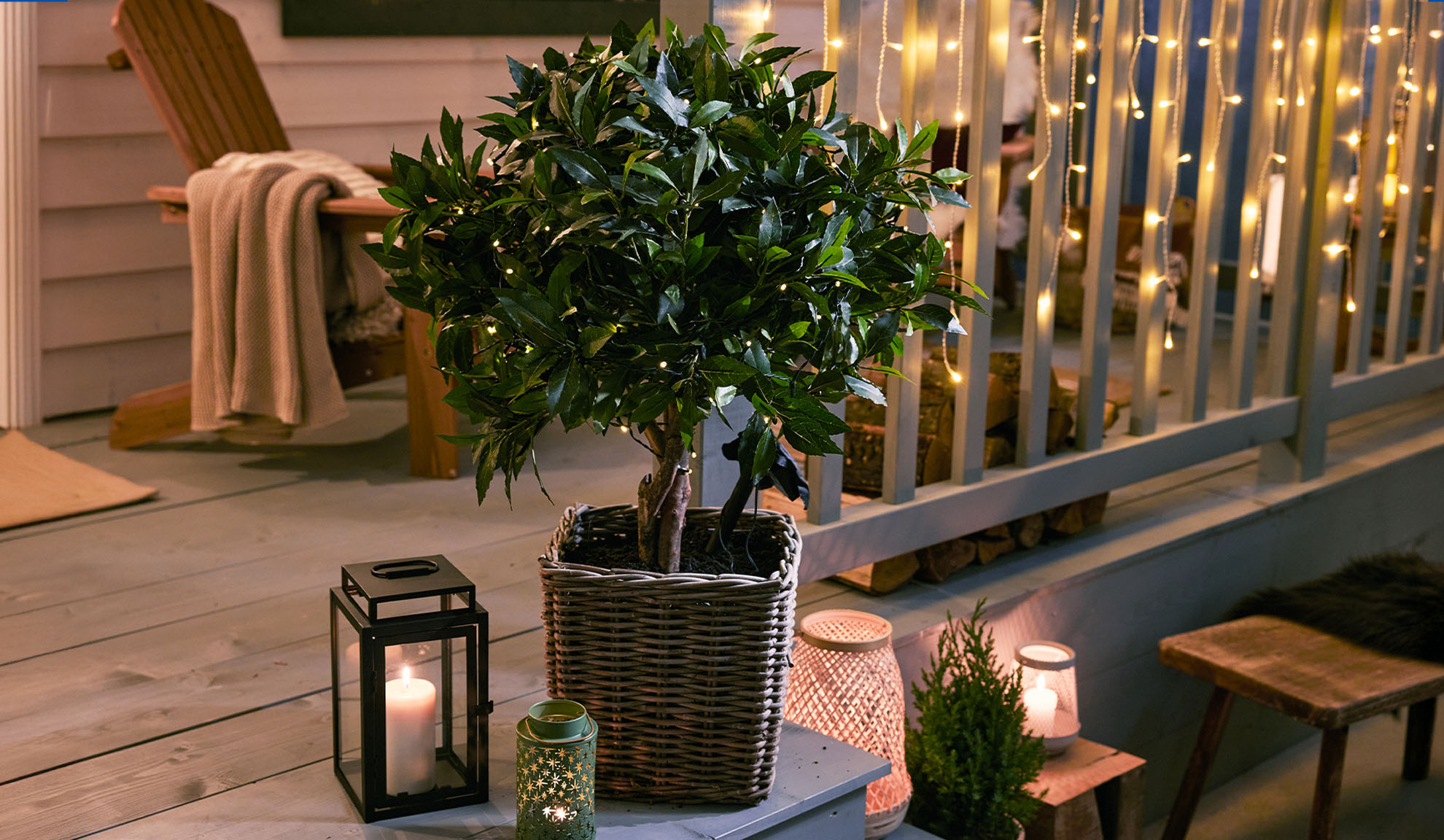 Plante en pot avec des guirlandes lumineuses, lanternes et bougies sur une terrasse en bois.