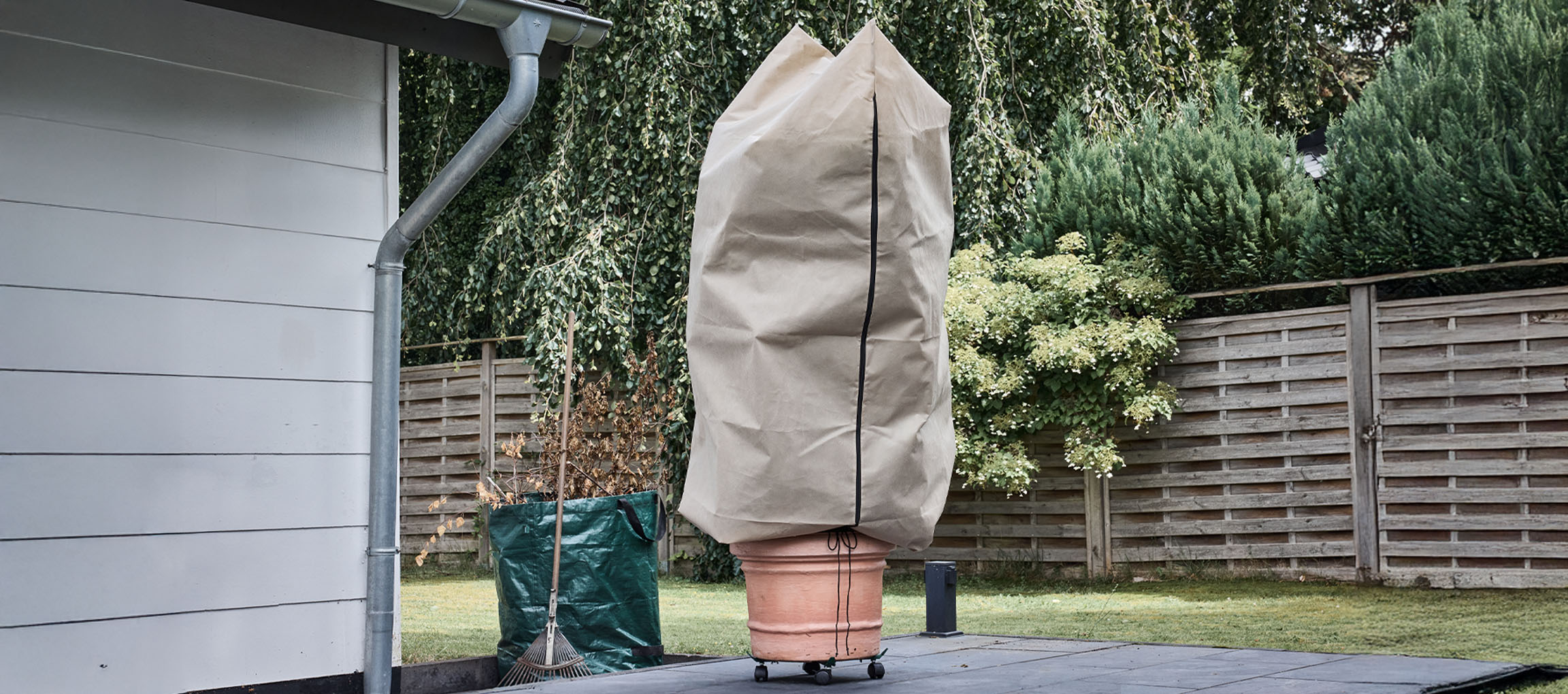 Pianta in vaso con copertura protettiva invernale su un patio accanto a una casa.