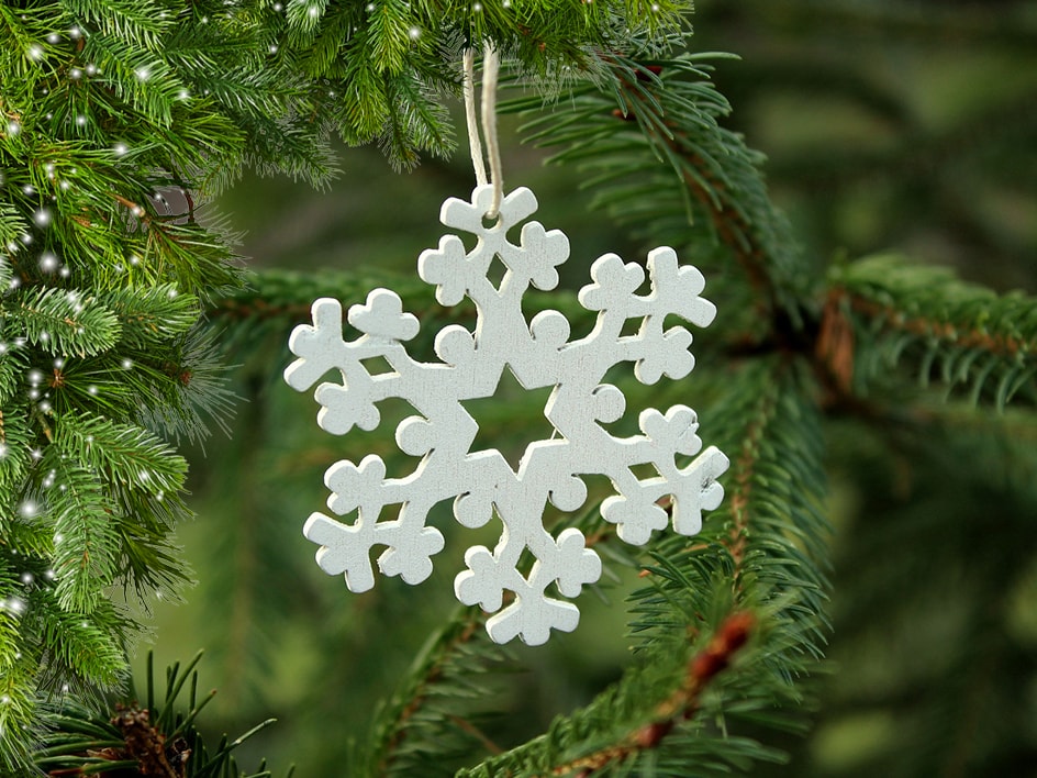 Die Adventszeit kann beginnen