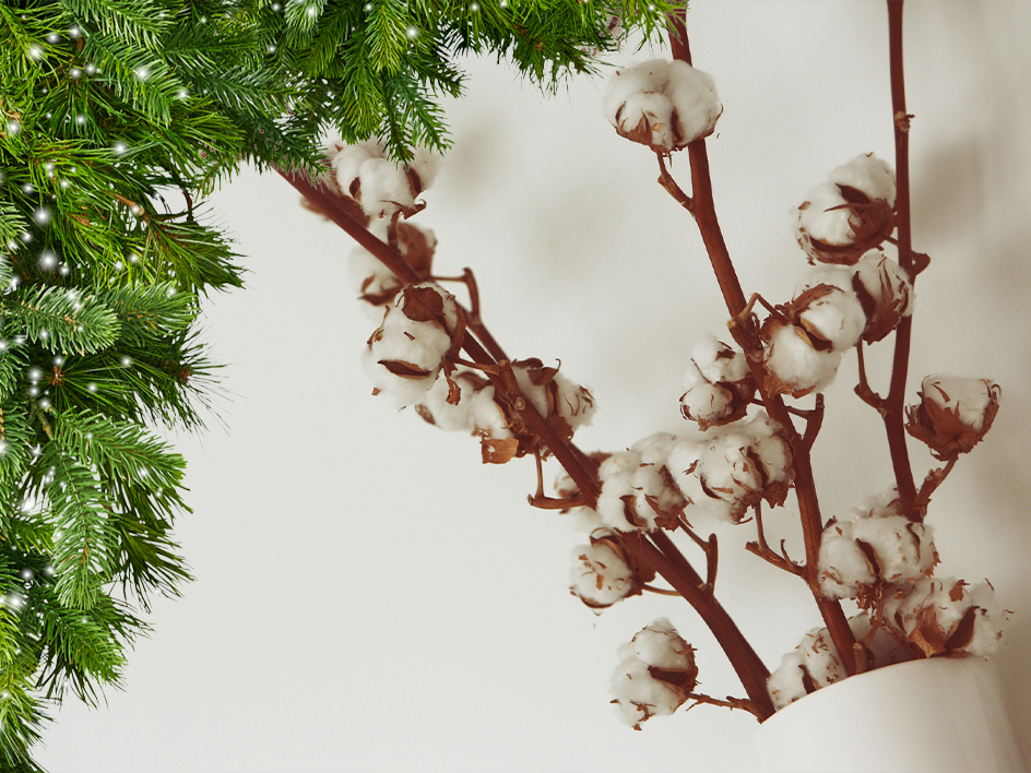 Fiori di Natale