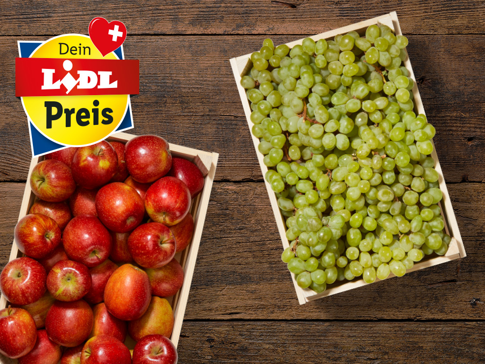 Top-Angebote zum Lidl Preis