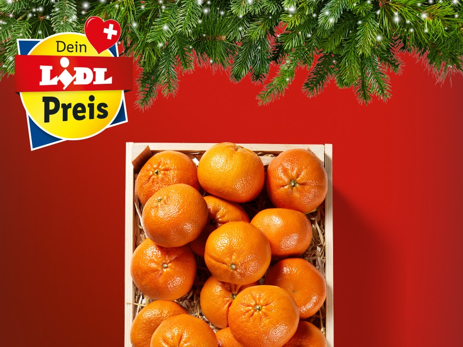 Top-Angebote zum Lidl Preis