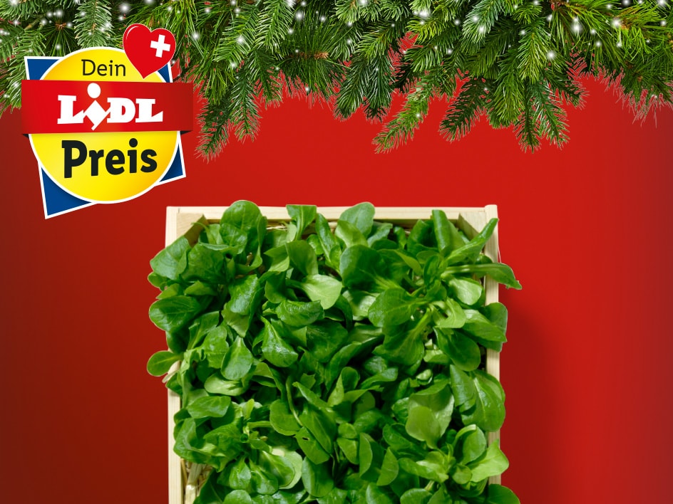 Top-Angebote zum Lidl Preis