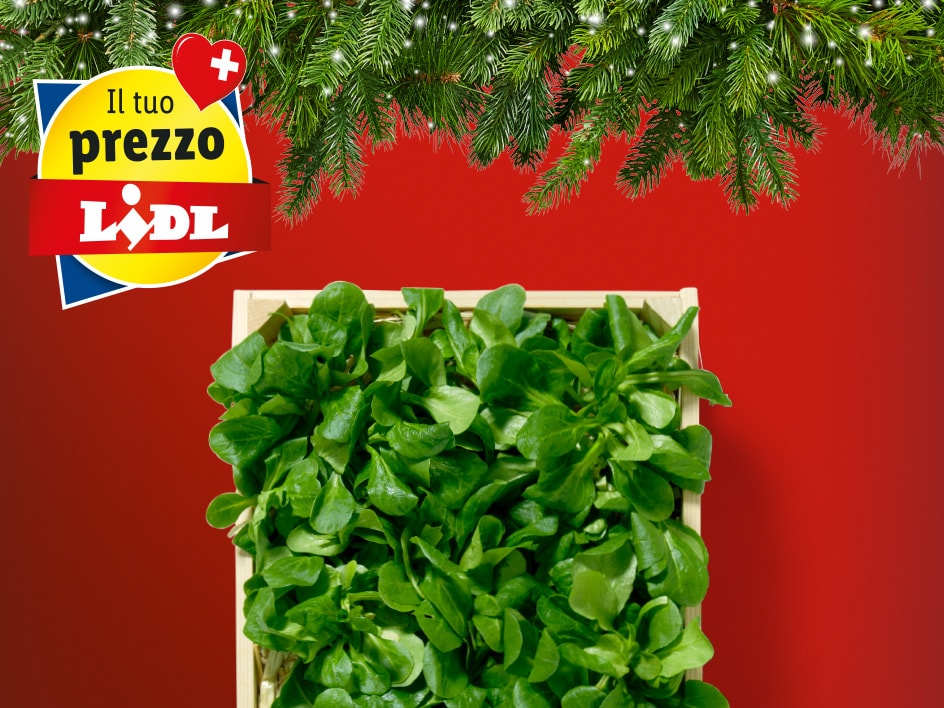 Offerte top al prezzo Lidl