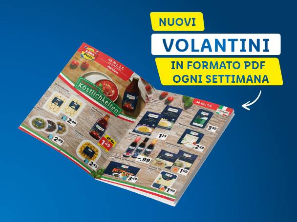 Volantini in PDF