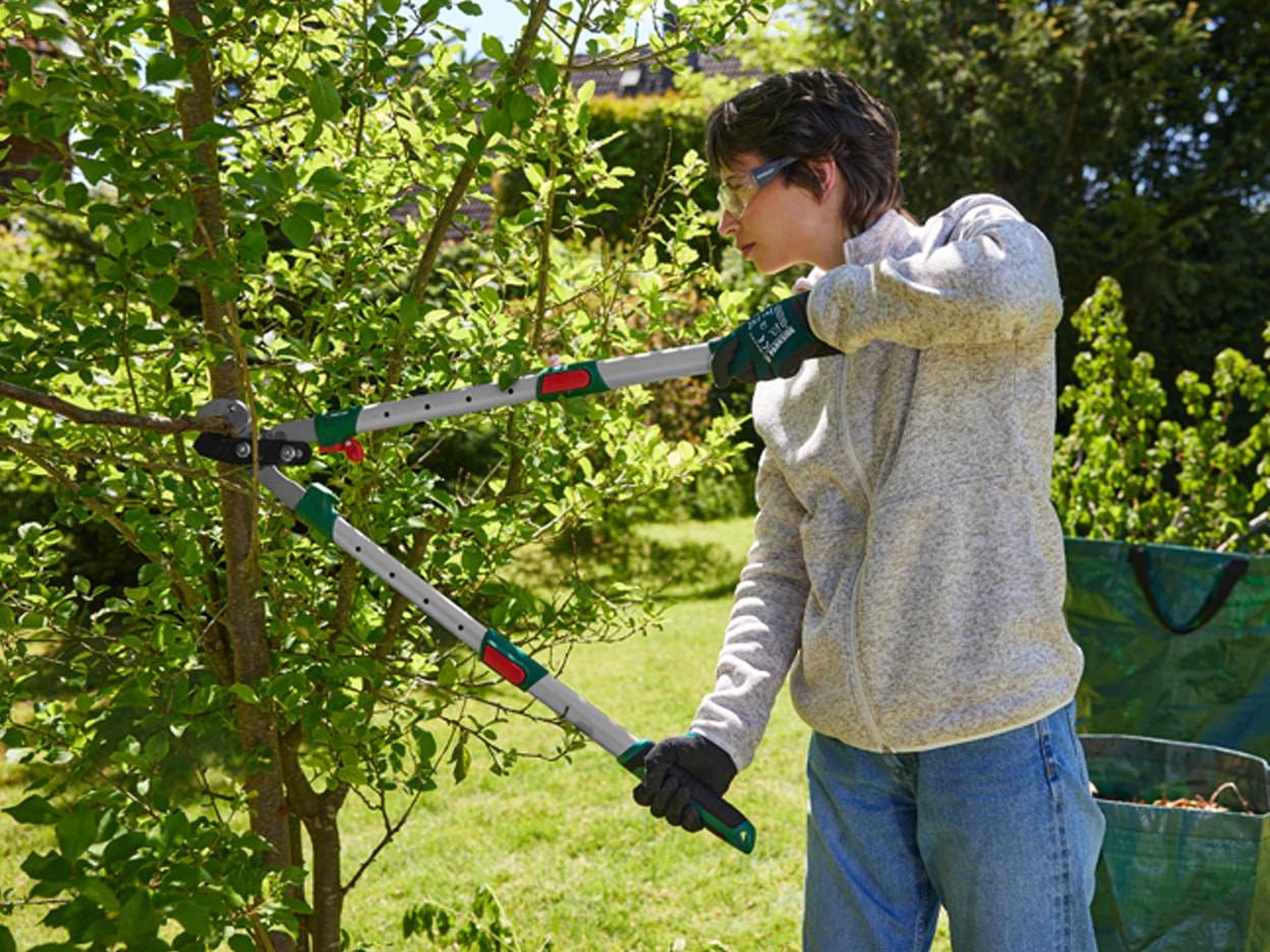 Una persona pota un albero con delle cesoie da giardinaggio Gardena.