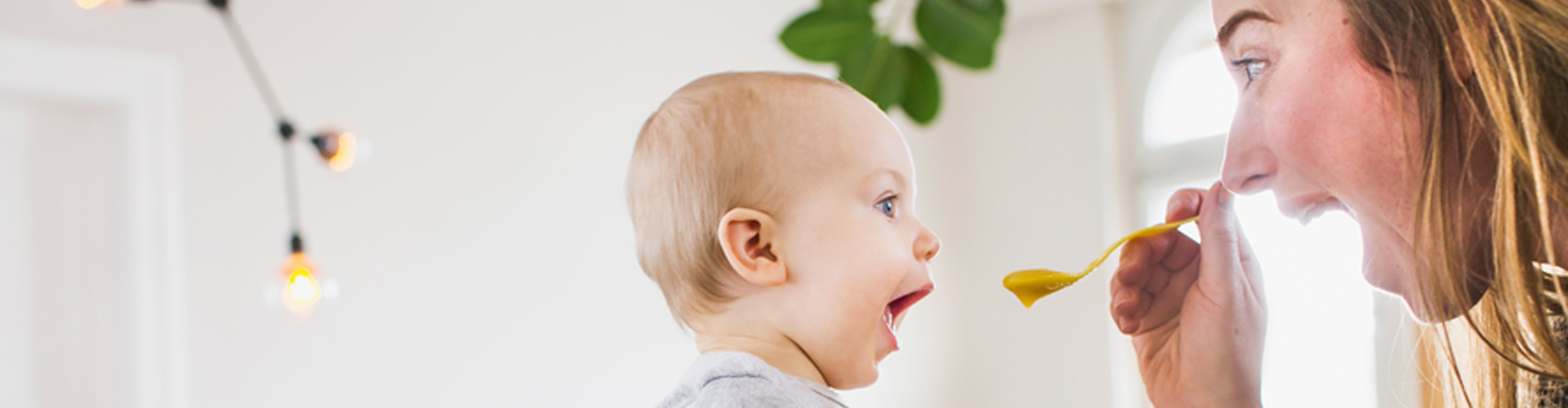 Purée pour bébé faite maison