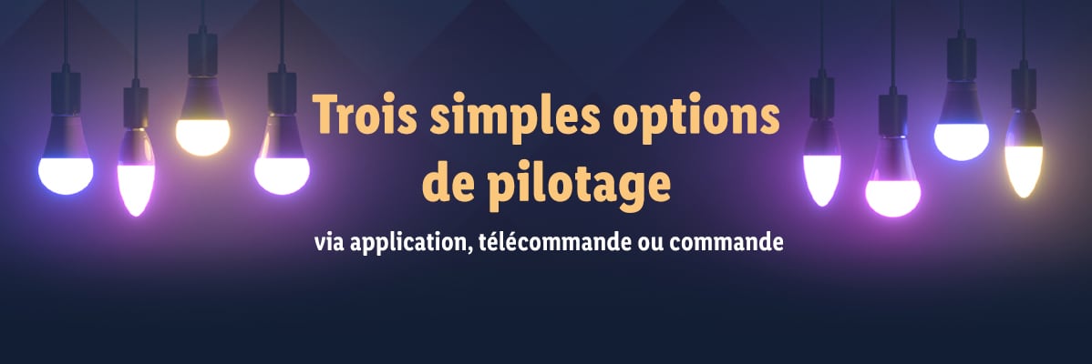 Ampoules LED suspendues : contrôle par application, télécommande ou interrupteur.