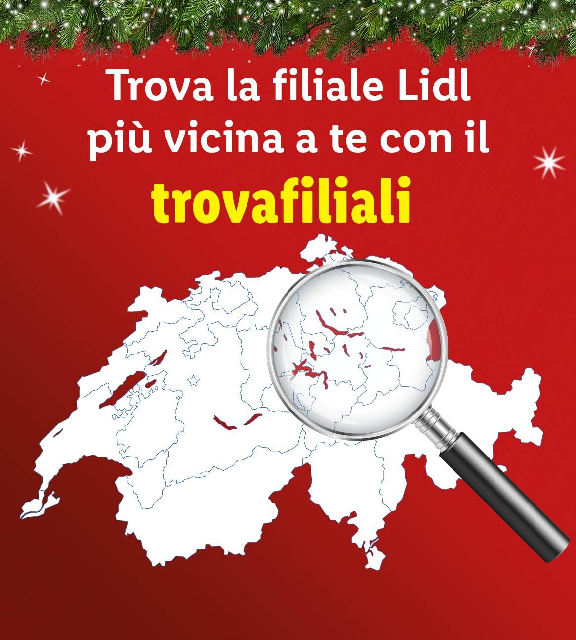 Scopri di più!