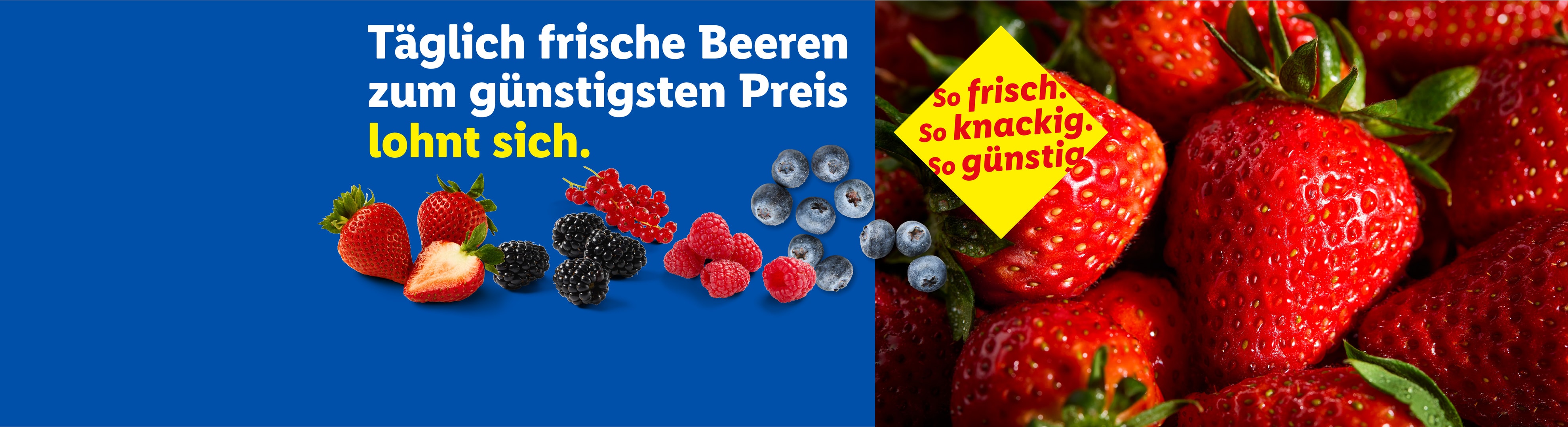 Frische und günstige Beeren: Erdbeeren, Brombeeren, Himbeeren, Johannisbeeren und Heidelbeeren.