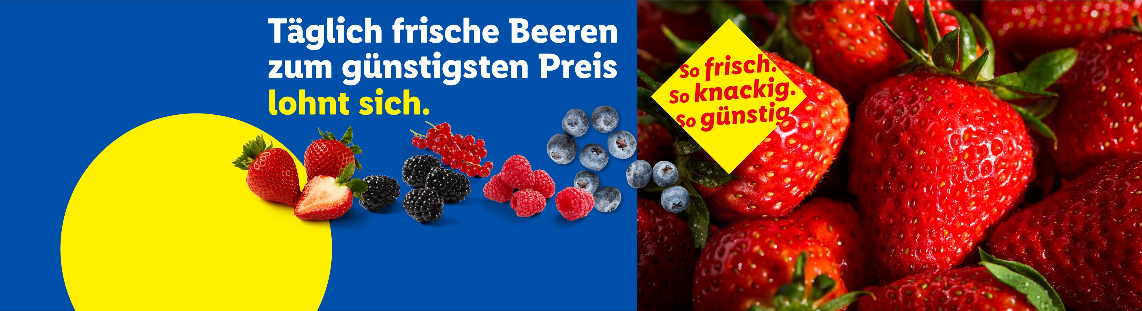 Frische Beeren wie Erdbeeren, Brombeeren, Himbeeren, Johannisbeeren und Heidelbeeren mit Preishinweis.