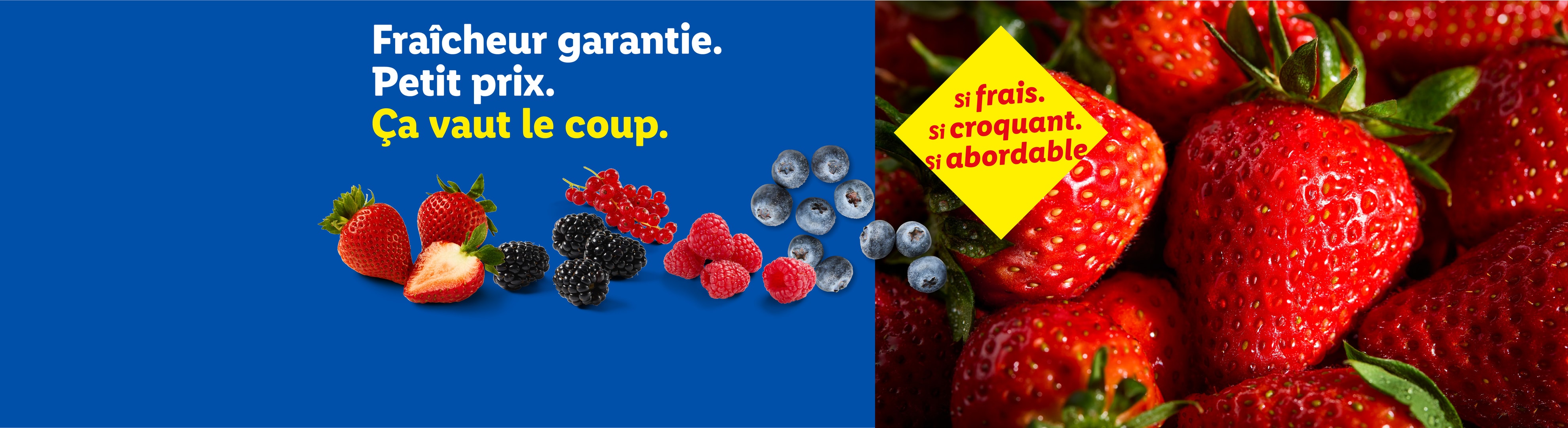 Fraises, framboises, mûres, groseilles et myrtilles. 'Fraîcheur garantie. Petit prix. Ça vaut le coup.'