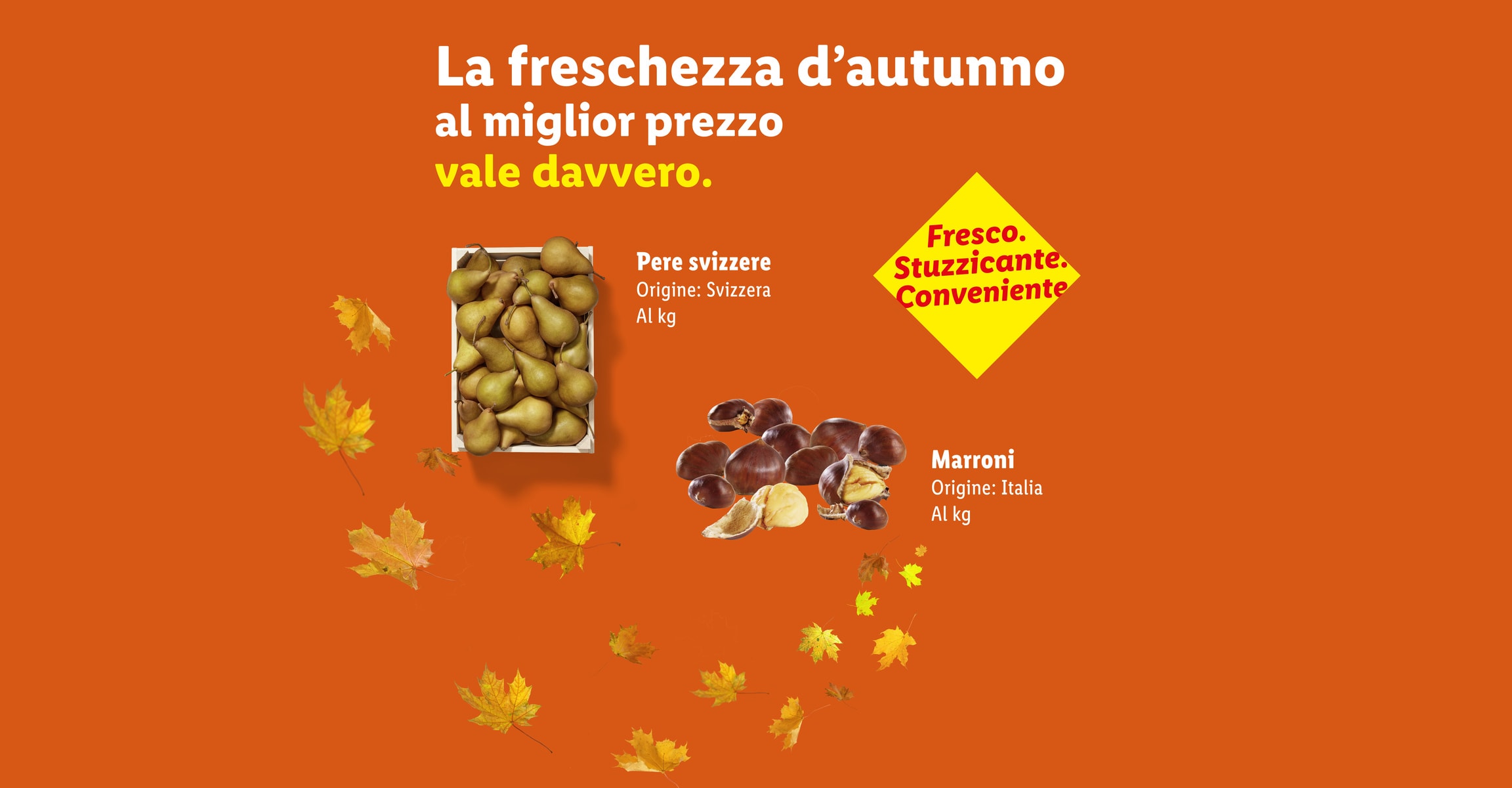 La freschezza d'autunno al miglior prezzo vale davvero. Fresco. Stuzzicante. Conveniente