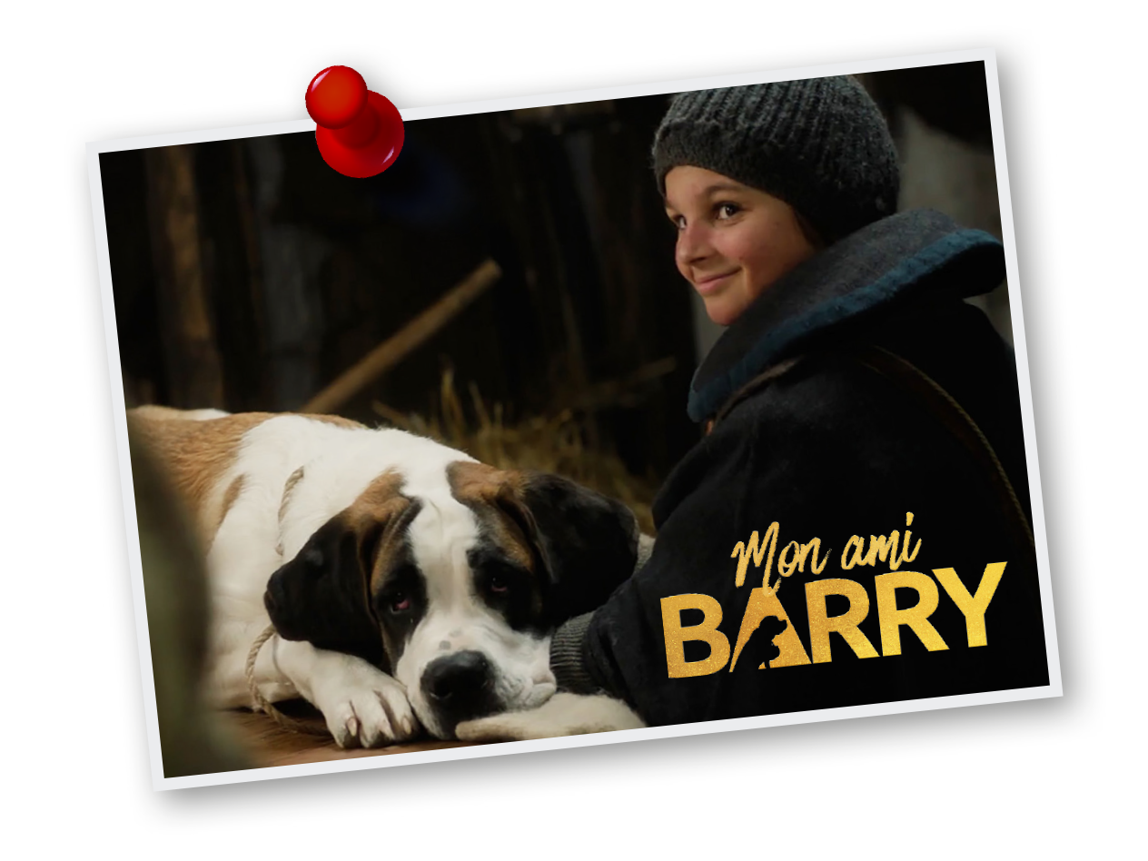 Un enfant et un chien Saint-Bernard avec le texte 'Mon ami BARRY' sur une photo épinglée.