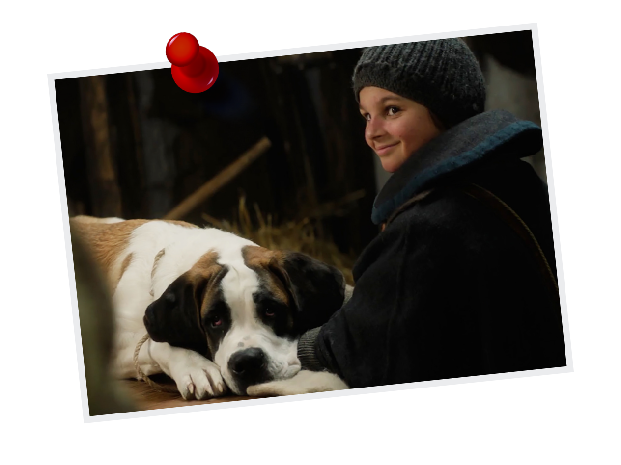 Bambino sorridente con berretto grigio e cane San Bernardo sdraiato.