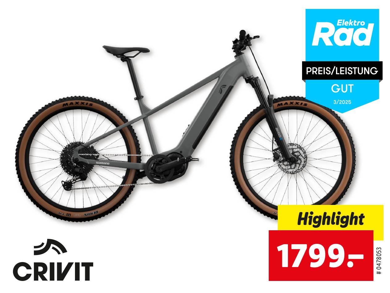 Crivit E-Bike: graues Modell, Maxxis Reifen, Preis: 1799 €.