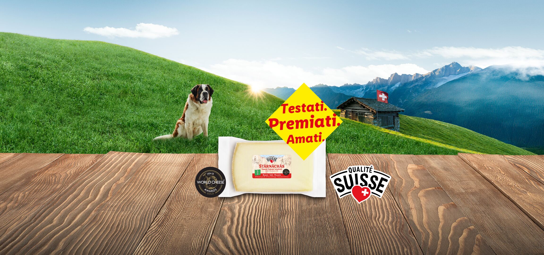 Formaggi svizzeri Toggenburger Gwitterchäs e Stärnächäs, premiati, con San Bernardo e paesaggio alpino.