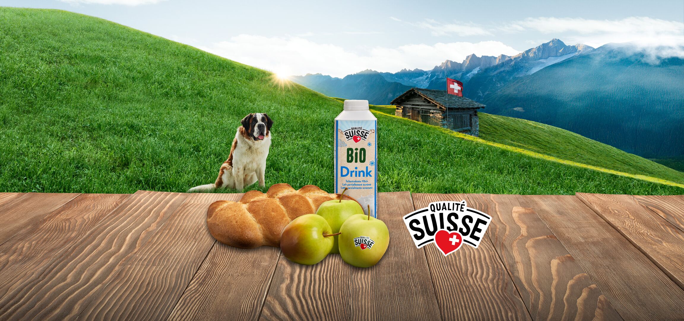 Prodotti bio svizzeri: pane, uova, bevanda e mele, con un cane San Bernardo.