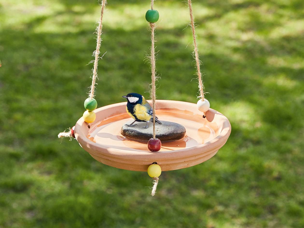 Una piscina per gli uccellini