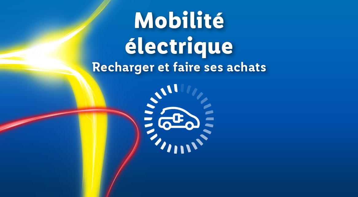 Mobilité électrique : recharge et achats.