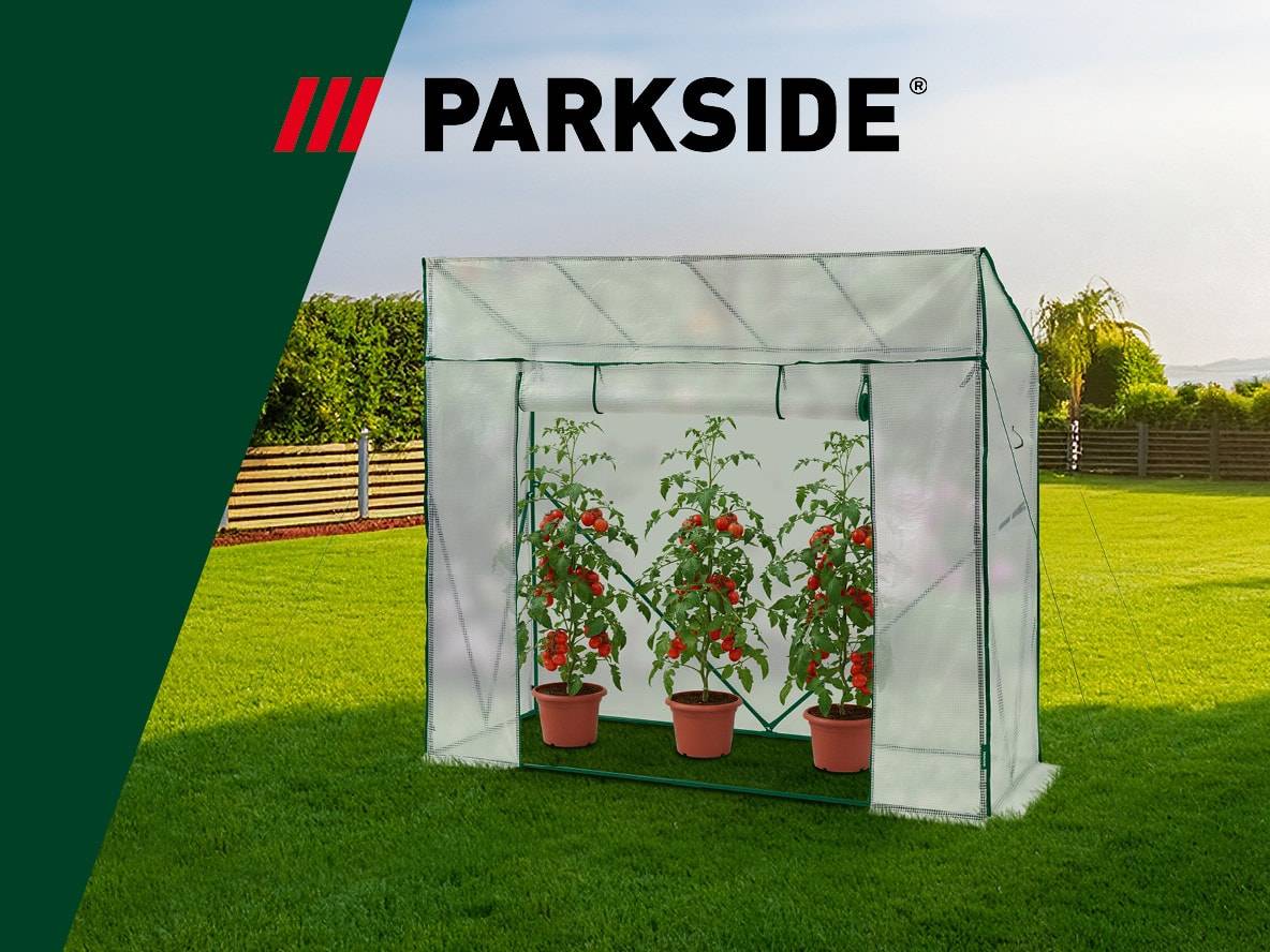 Gartengewächshaus mit drei Topf-Tomatenpflanzen auf grünem Rasen.