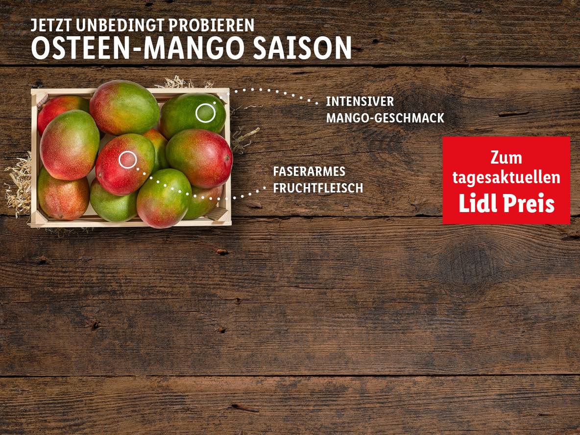 Jetzt zum Lidl Preis