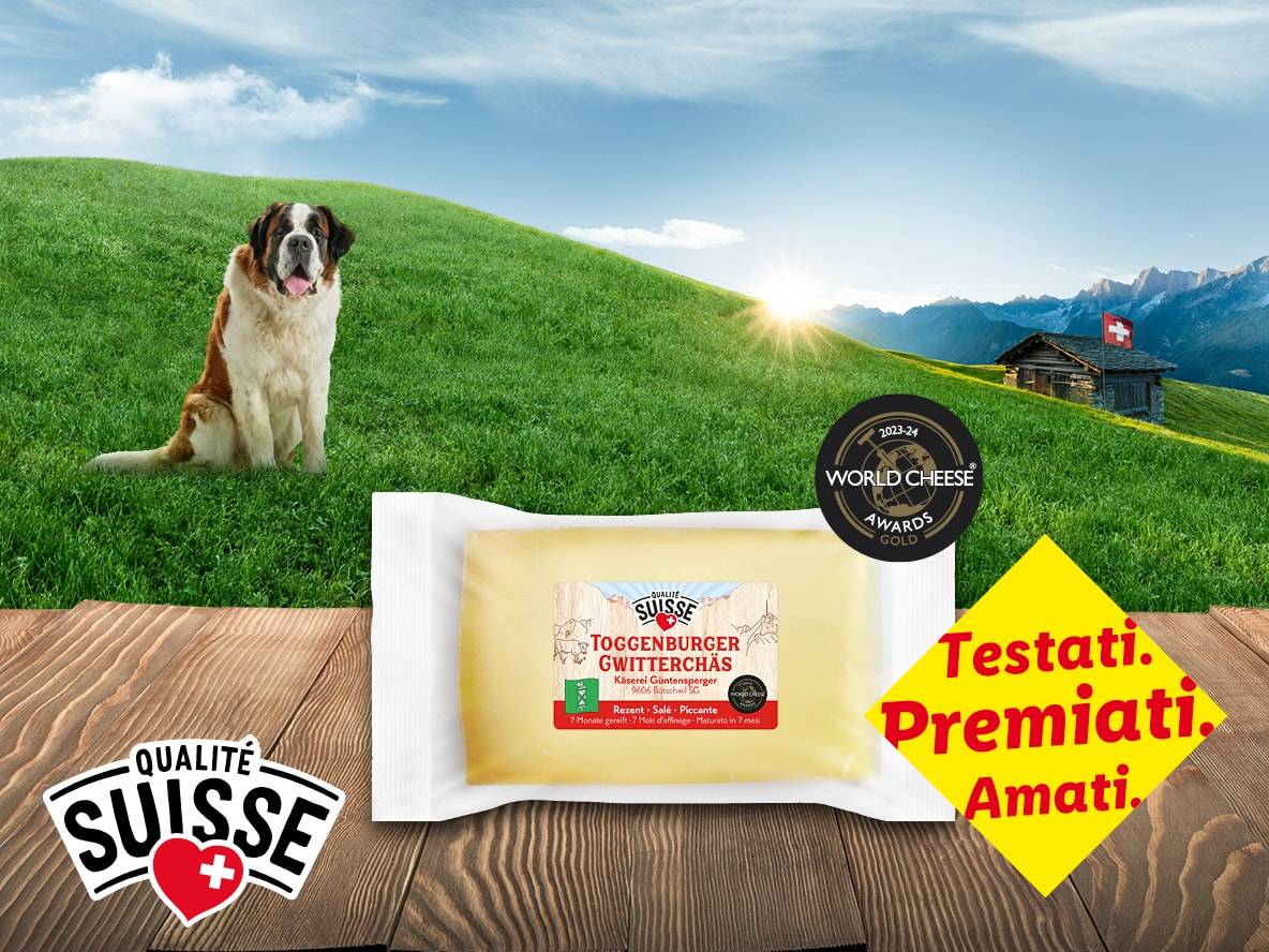 Fromage Toggenburger Gwitterchäs sur une table en bois, avec un Saint-Bernard et un paysage alpin en arrière-plan.